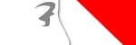 ELECTIONS MUNICIPALES DES 15 et 22 MARS 2020